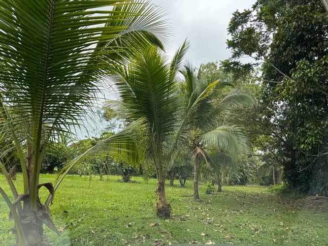Venta de Espectacular Terreno Plano 4.125 Mtrs cuadarados! - Imagen 3