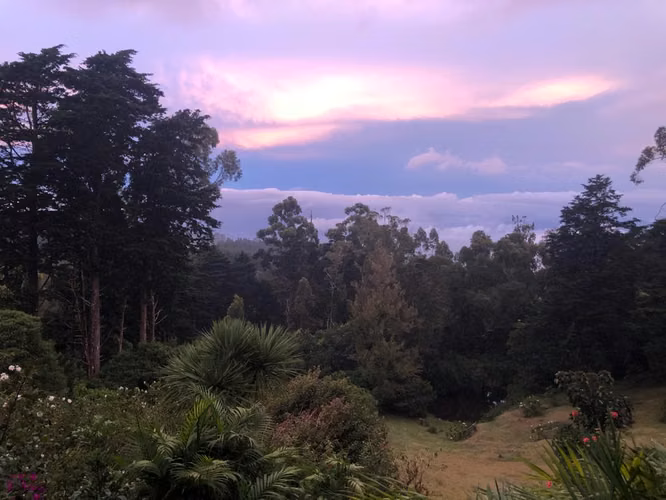 Venta de  Mágica Cabaña en San Jose de la Montaña.