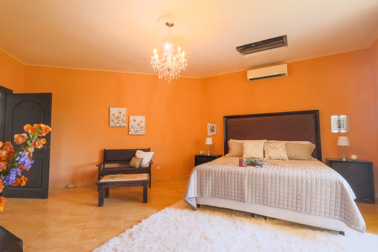 SE VENDE ESPECTACULAR FINCA DE LUJO - ATENAS - ALAJUELA - Imagen 12
