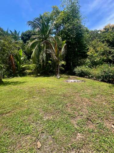 Amplio Terreno de 5,027 m² en Los Ángeles de Parrita con Potencial Turístico - Imagen 3