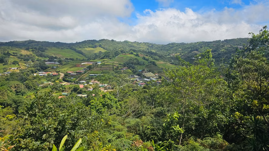Finca de 7 Hectáreas en Piedades Norte de San Ramón, Alajuela