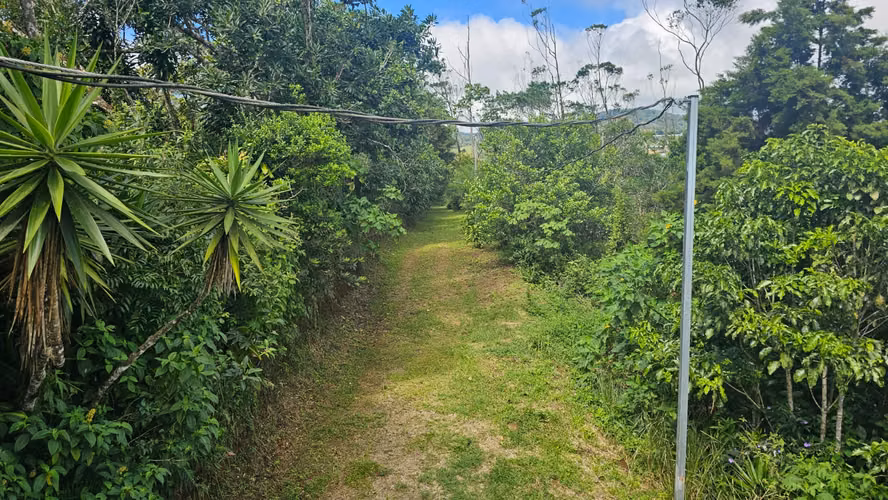 Finca de 7 Hectáreas en Piedades Norte de San Ramón, Alajuela