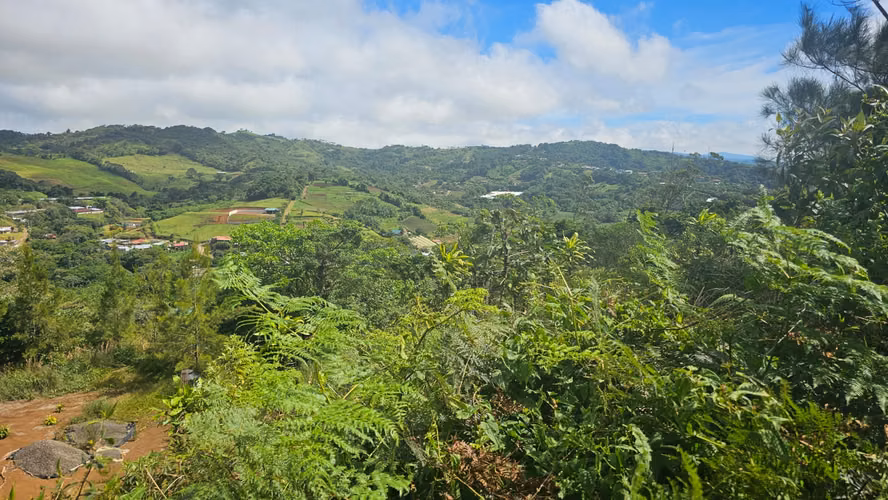 Finca de 7 Hectáreas en Piedades Norte de San Ramón, Alajuela