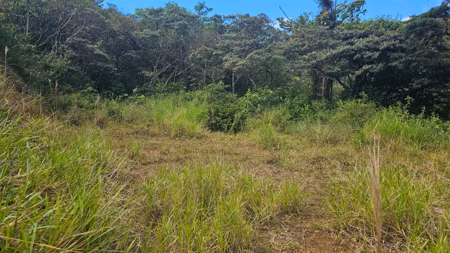 Finca de 7 Hectáreas en Piedades Norte de San Ramón, Alajuela