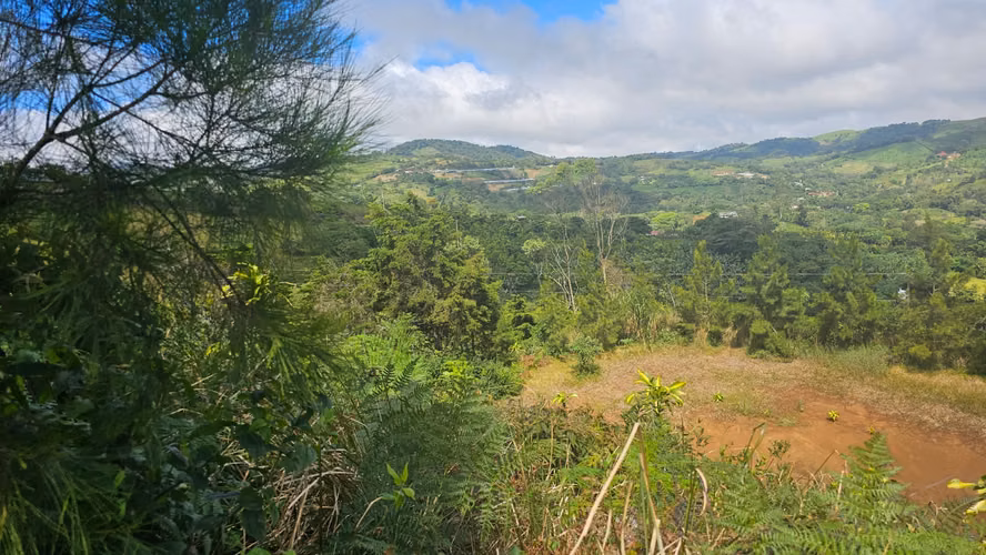 Finca de 7 Hectáreas en Piedades Norte de San Ramón, Alajuela