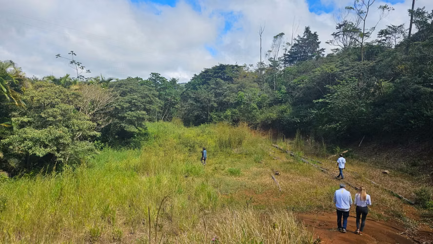 Finca de 7 Hectáreas en Piedades Norte de San Ramón, Alajuela
