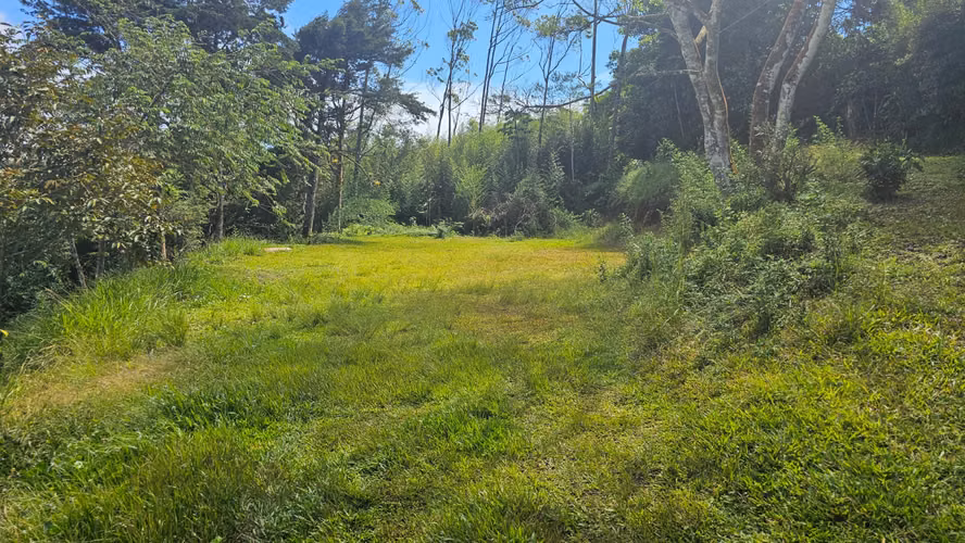 Finca de 7 Hectáreas en Piedades Norte de San Ramón, Alajuela