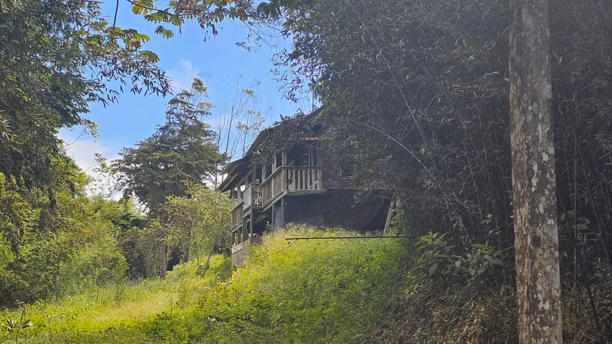 Finca de 7 Hectáreas en Piedades Norte de San Ramón, Alajuela