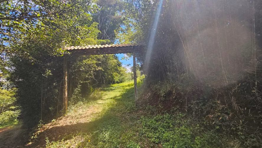 Finca de 7 Hectáreas en Piedades Norte de San Ramón, Alajuela