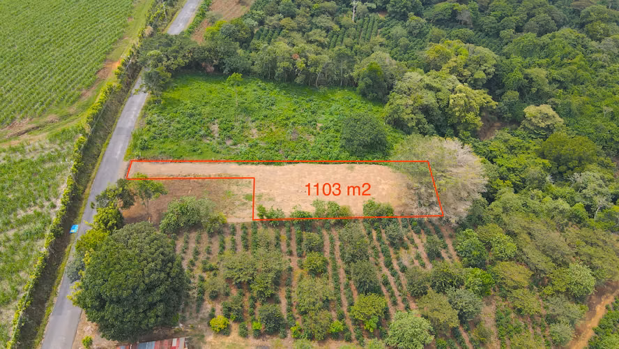 Espectacular Lote Plano en venta Grecia - Imagen 5