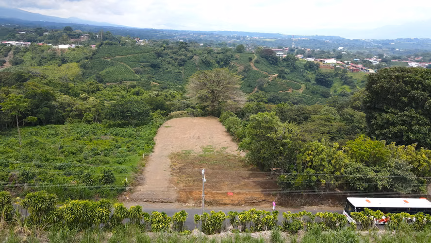 Espectacular Lote Plano en venta Grecia - Imagen 2