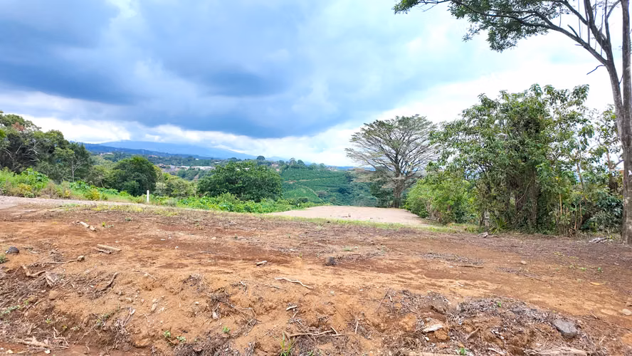 Espectacular Lote Plano en venta Grecia - Imagen 6
