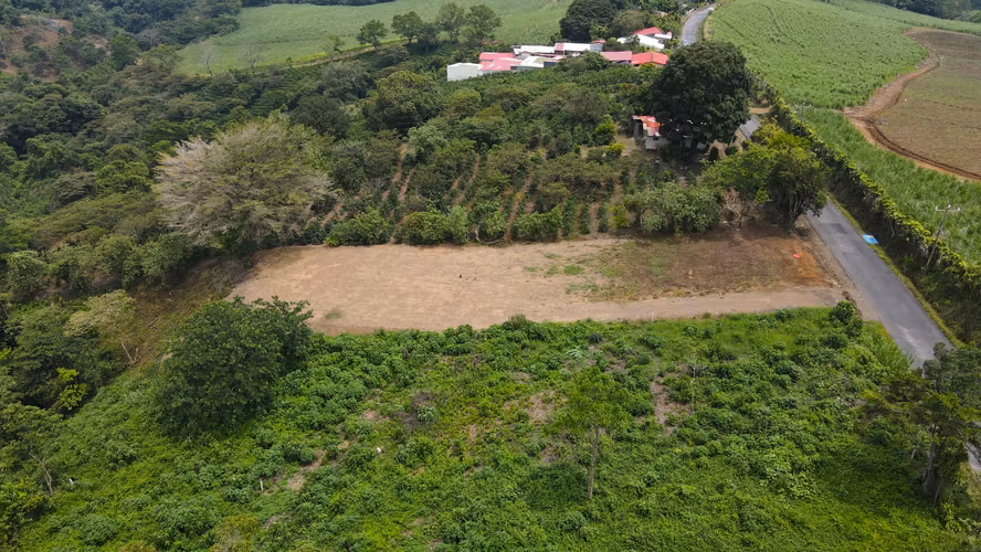 Espectacular Lote Plano en venta Grecia - Imagen 4