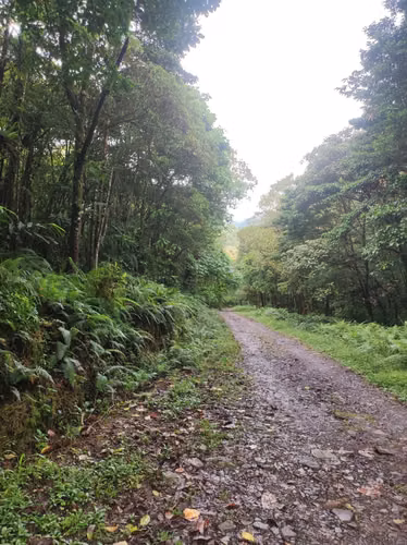 Quintas en Bajos del Toro, frente Parque Nacional, Alajuela - Imagen 3