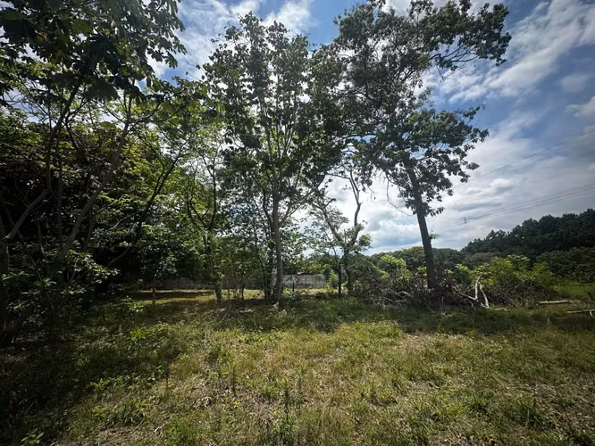 Lote en Venta Orotina -  2.385 m² - Muy céntrico y plano. - Imagen 10