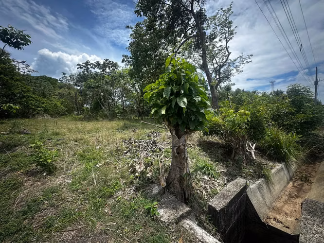 Lote en Venta Orotina -  2.385 m² - Muy céntrico y plano. - Imagen 8