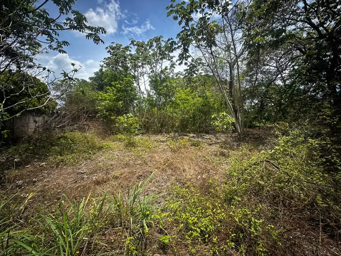 Lote en Venta Orotina -  2.385 m² - Muy céntrico y plano. - Imagen 3