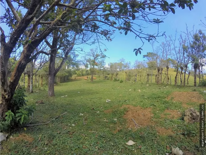 Terreno con 2 casas en venta El Carmen de Guadalupe - Imagen 16