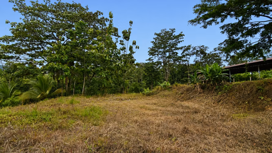 Venta de hermosa propiedad en La Tigra de San Carlos - Imagen 6
