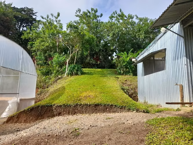 Finca de Café de casi 4 Hectáreas en San Ramón de Alajuela - Imagen 10
