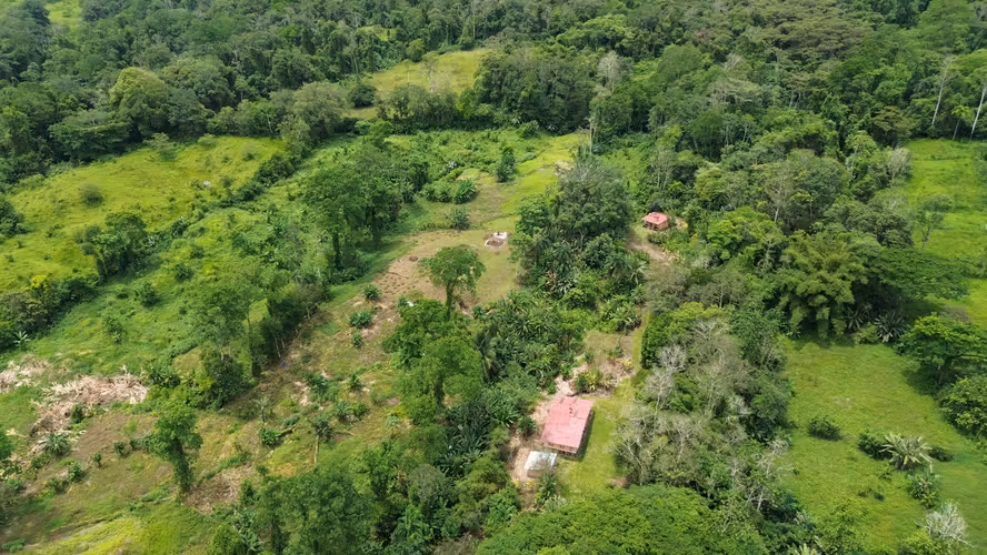 Venta de finca de 7.9 hectáreas en Siquirres, Limón.