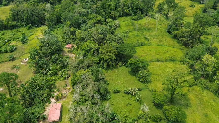 Venta de finca de 7.9 hectáreas en Siquirres, Limón. - Imagen 8