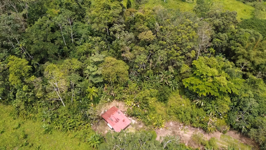 Venta de finca de 7.9 hectáreas en Siquirres, Limón. - Imagen 6