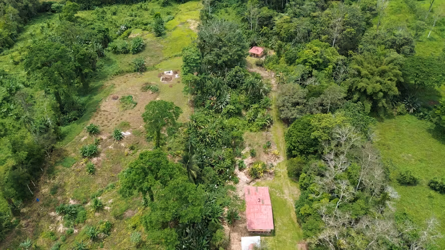 Venta de finca de 7.9 hectáreas en Siquirres, Limón. - Imagen 9