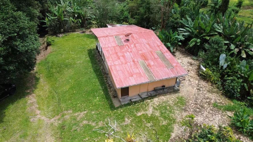 Venta de finca de 7.9 hectáreas en Siquirres, Limón. - Imagen 7