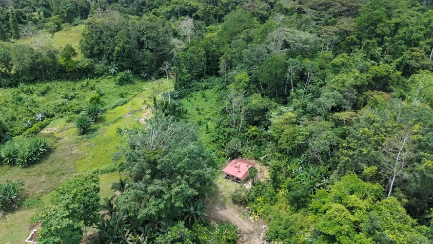 Venta de finca de 7.9 hectáreas en Siquirres, Limón. - Imagen 2
