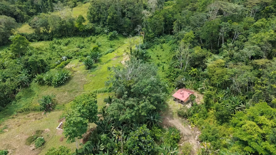 Venta de finca de 7.9 hectáreas en Siquirres, Limón. - Imagen 4