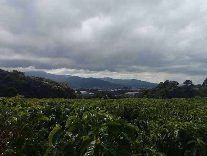 Finca de 6 Hectáreas Uso Mixto e Industrial en San Pablo, Heredia