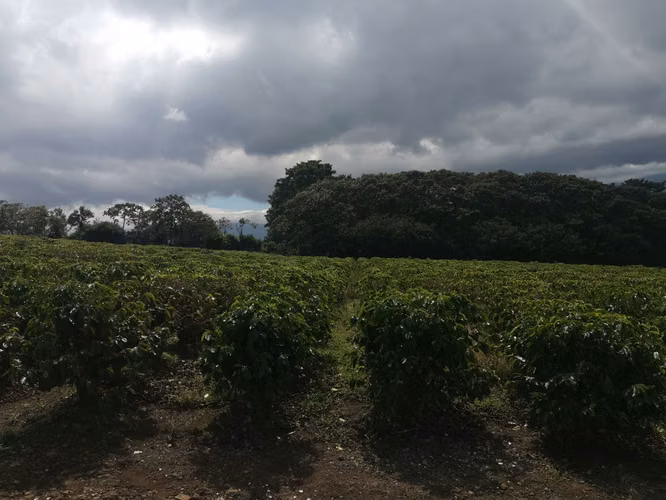 Finca de 6 Hectáreas Uso Mixto e Industrial en San Pablo, Heredia