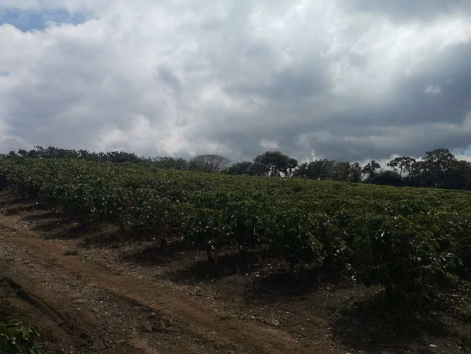 Finca de 6 Hectáreas Uso Mixto e Industrial en San Pablo, Heredia