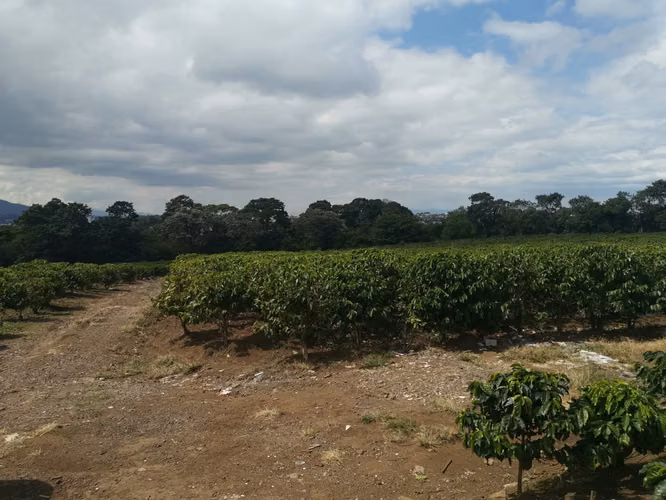Finca de 6 Hectáreas Uso Mixto e Industrial en San Pablo, Heredia