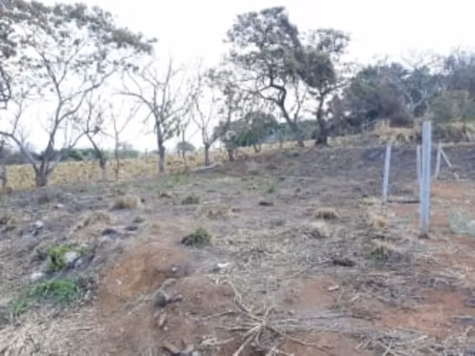 Venta de terreno en Atenas Centro, Alajuela 18077 - Imagen 7