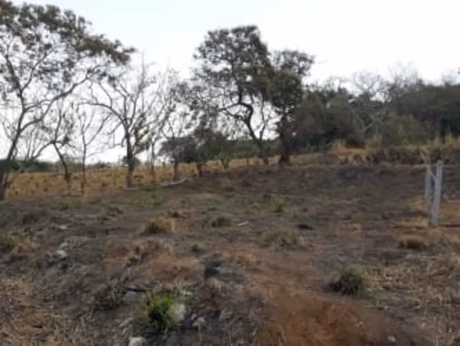 Venta de terreno en Atenas Centro, Alajuela 18077 - Imagen 5