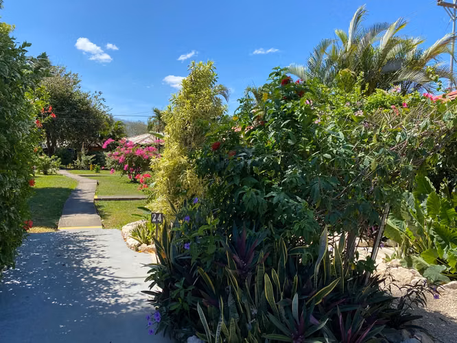 VILLA IBISCO EN ALQUILER PLAYA POTRERO - Imagen 2