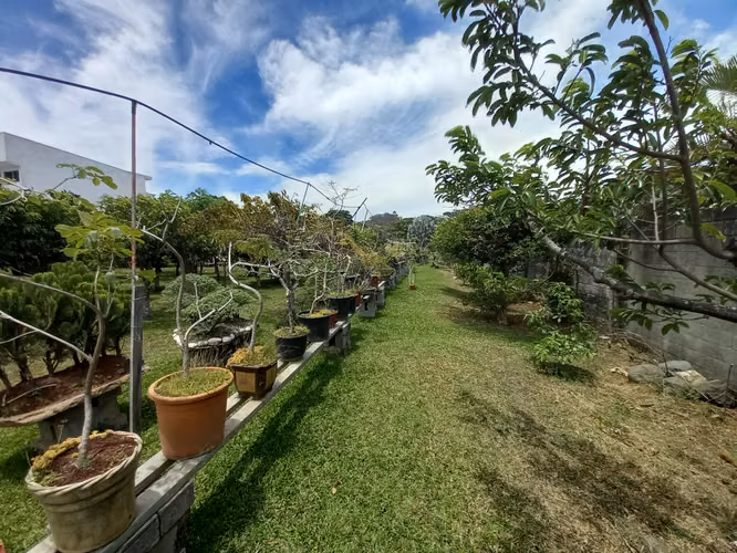 02 / Venta / lote de 3000 mts con casa grande / Uso suelo 8 casas / San Rafael - Imagen 9