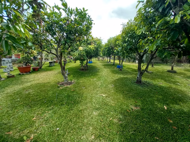 02 / Venta / lote de 3000 mts con casa grande / Uso suelo 8 casas / San Rafael - Imagen 3