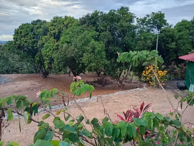 Venta de terreno Quinta con vista al mar en Orotina Cerro Alto, Alajuela 18190 - Imagen 7