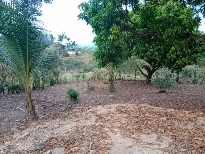 Venta de terreno Quinta con vista al mar en Orotina Cerro Alto, Alajuela 18190 - Imagen 6