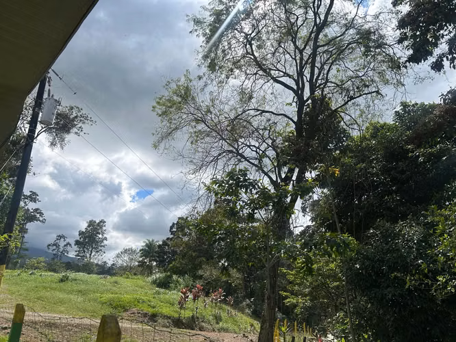  GRANJA AGRÍCOLA Y AVÍCOLA EN VENTA | SAN CARLOS - Imagen 6