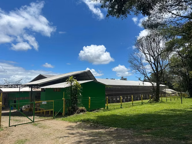  GRANJA AGRÍCOLA Y AVÍCOLA EN VENTA | SAN CARLOS - Imagen 7