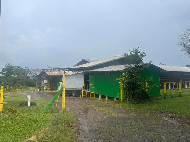  GRANJA AGRÍCOLA Y AVÍCOLA EN VENTA | SAN CARLOS - Imagen 3