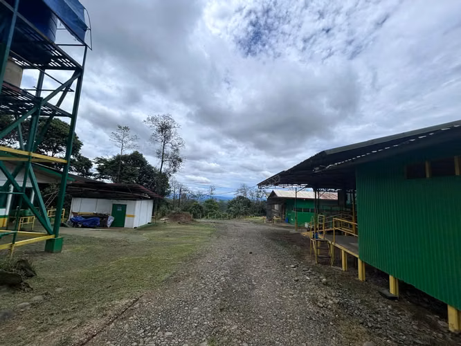  GRANJA AGRÍCOLA Y AVÍCOLA EN VENTA | SAN CARLOS - Imagen 5