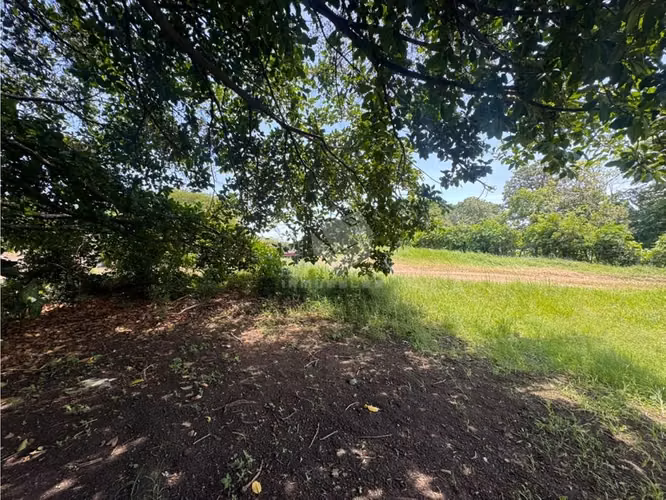 Lote de Alta densidad a pasos de la Ruta 27 - Imagen 5