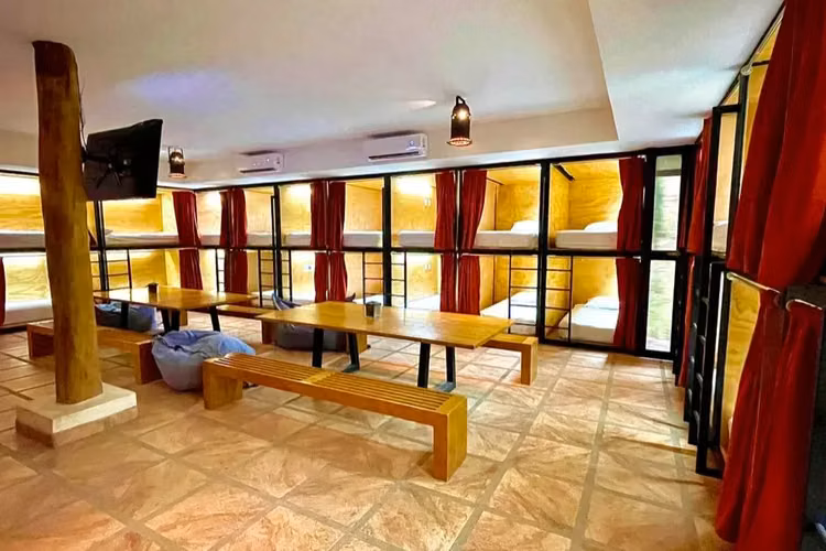 El mejor Hotel del país para observar aves