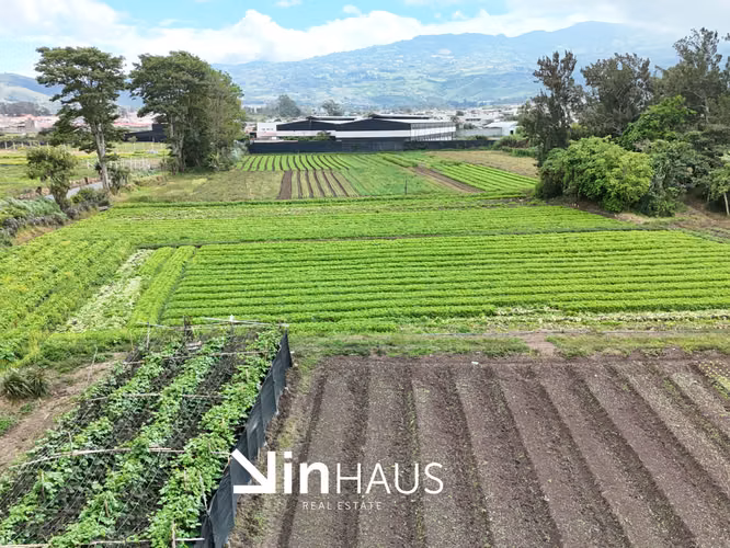 Venta de propiedad para desarrollo residencial en Tejar del Guarco -EU - Imagen 3