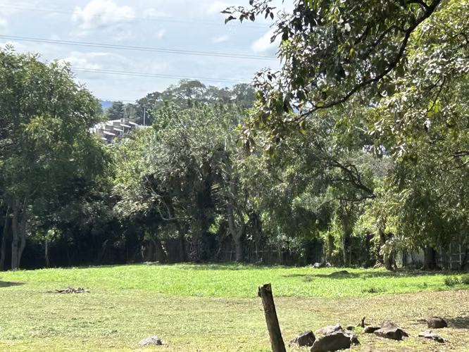 TERRENO EN ALAJUELA, LA GUACIMA 9982 m2 - Imagen 5